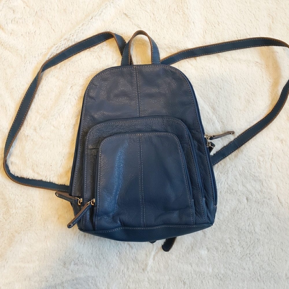 Tignanello blue backpack